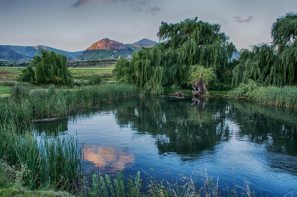Willa De Molen Farm Clarens Zewnętrze zdjęcie