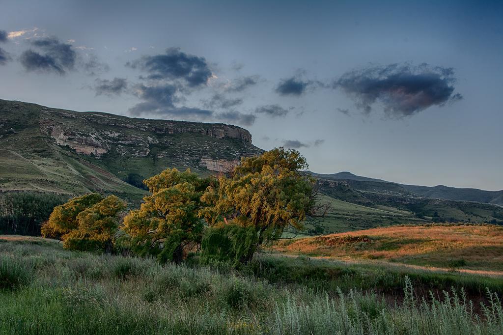 Willa De Molen Farm Clarens Zewnętrze zdjęcie